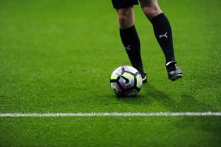 MILANSPORT入口-西甲球员恢复训练中心科学搭建与效果初评，西甲青训营