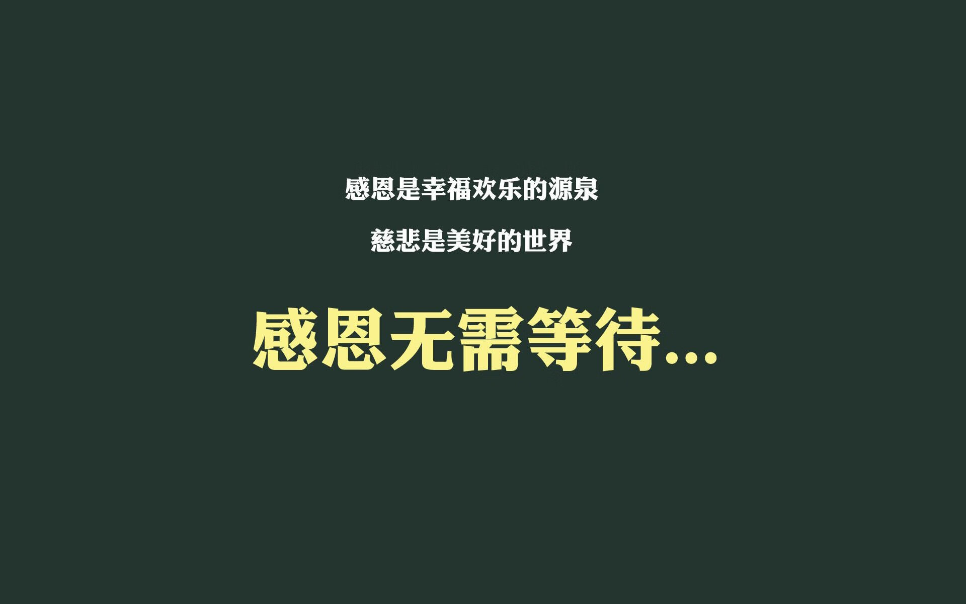 Milan Sports-2024年混合团体世界杯：Chinese Taipei团队赛场风采，2024年足球世界杯