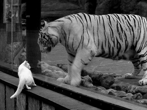 米兰体育官网-国际热身赛中国青年队战败 球员心理状态不稳，热身赛算国家队进球吗