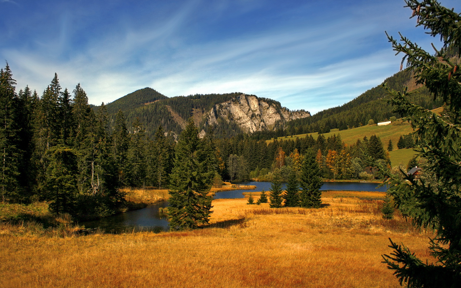 杨瀚森完成职业生涯首个三双创造历史时刻，杨瀚宇是谁
