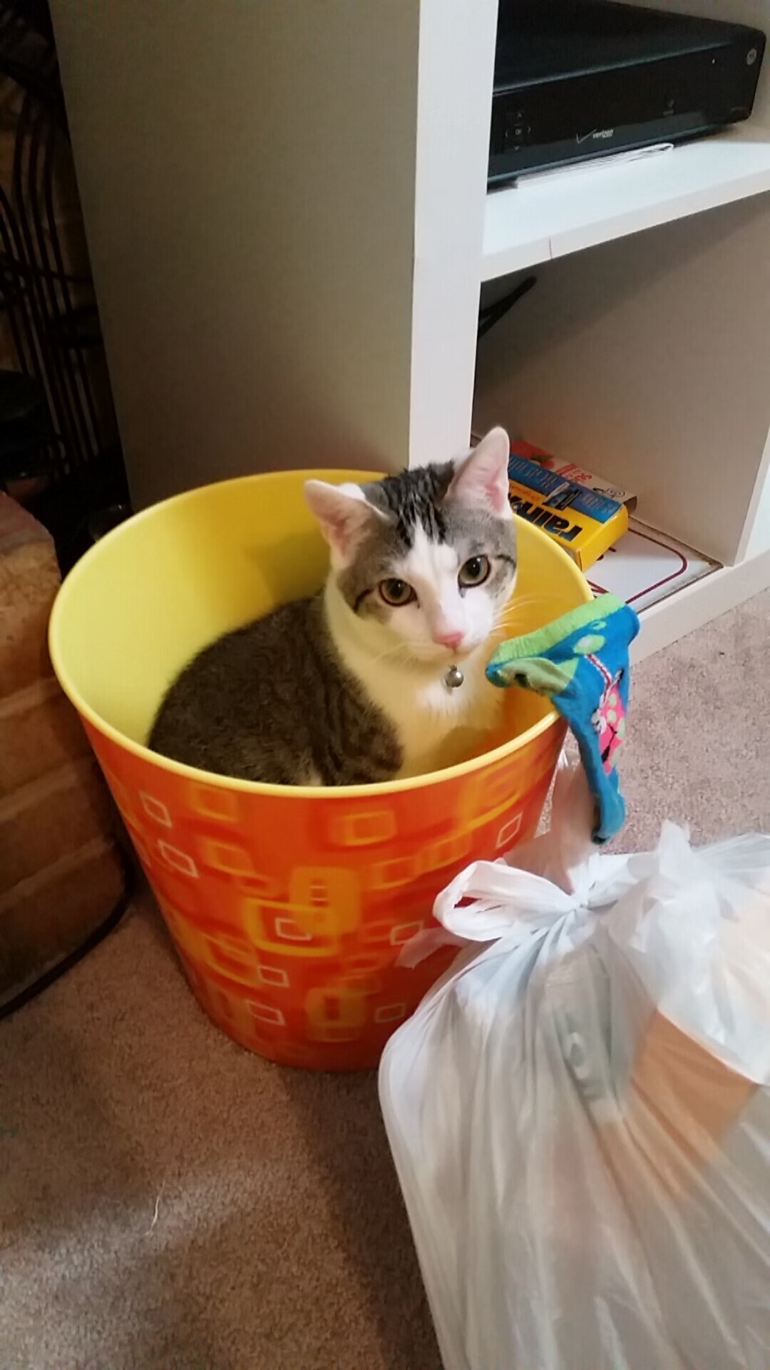 青年运动员形象管理加入媒体素养课程，青少年运动员文化教育与人格塑造