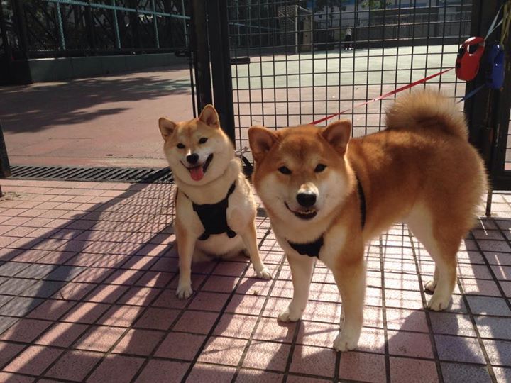 76人训练场开放日吸引大批粉丝参观，76人全队