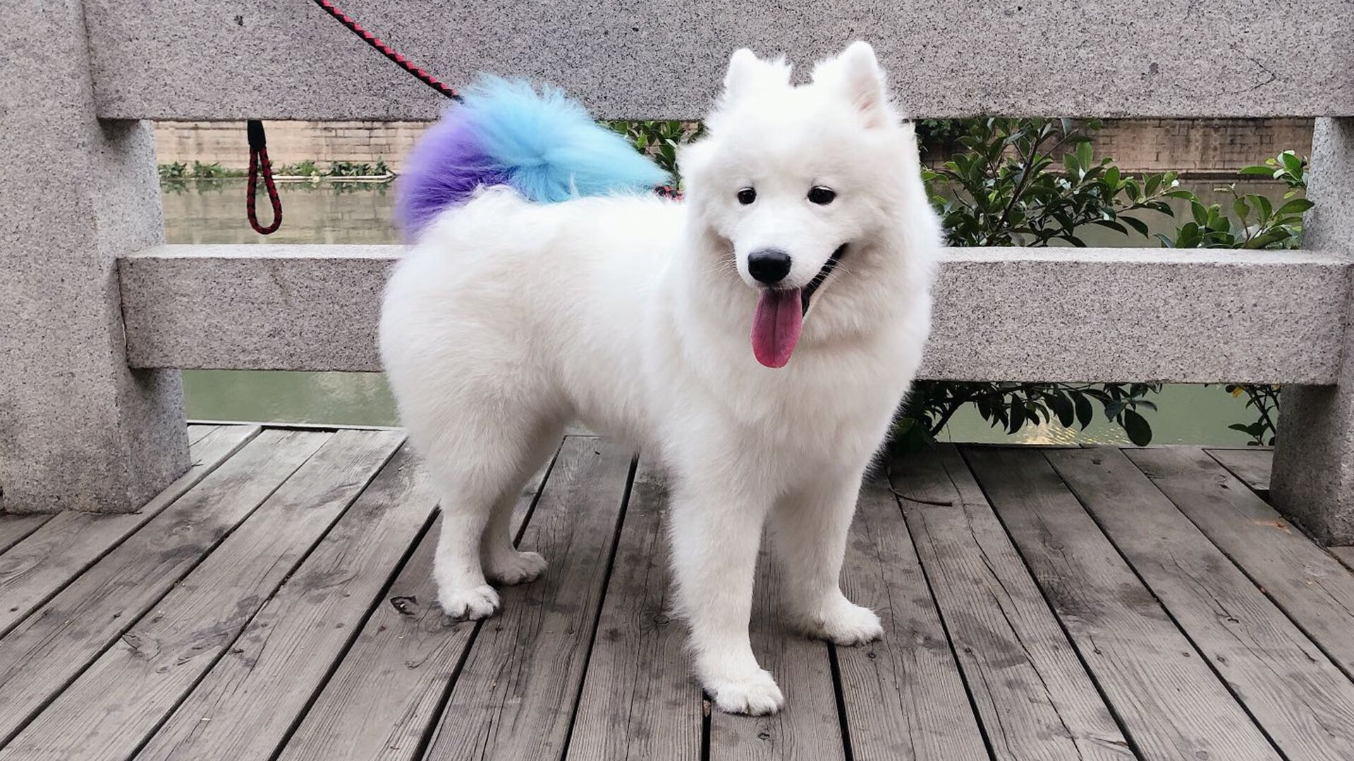 米兰体育-世界杯精彩纷呈：每一秒都令人心跳加速！，世界杯精彩过人