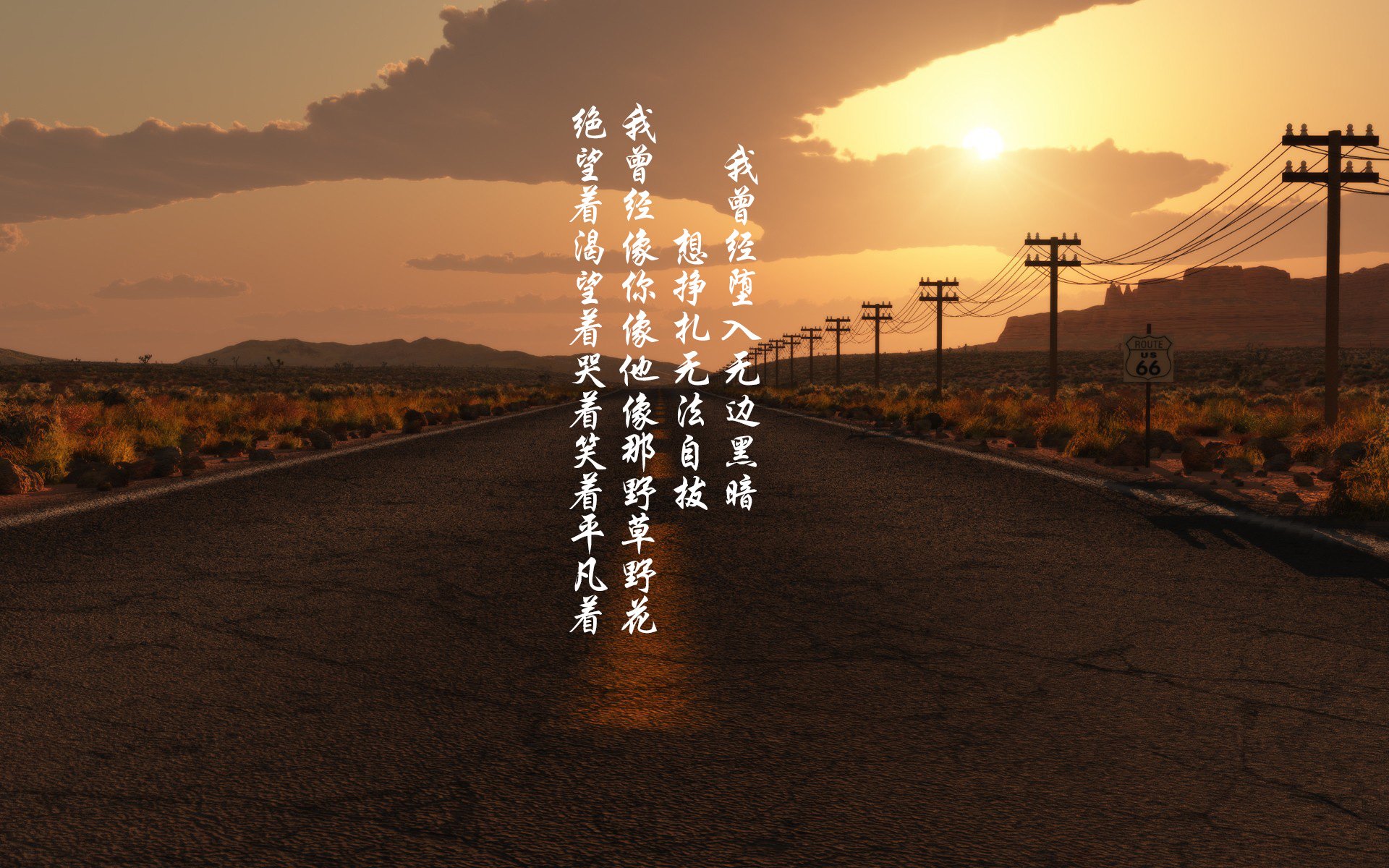 -凯恩·瑞安：新西兰橄榄球的未来希望，提升全黑队整体实力，新西兰橄榄球俱乐部