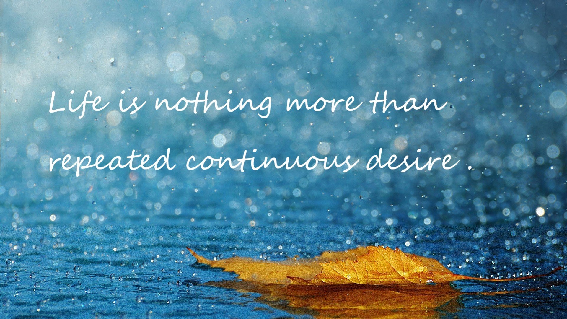 Milan Sports-动作规范性与世界顶级选手标准接轨，动作规范下句接什么