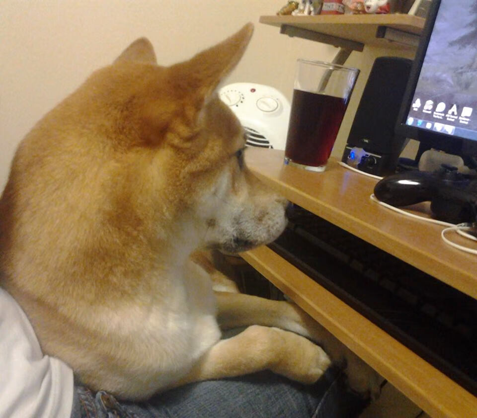 塞维利亚状态火爆，争夺欧洲赛场席位