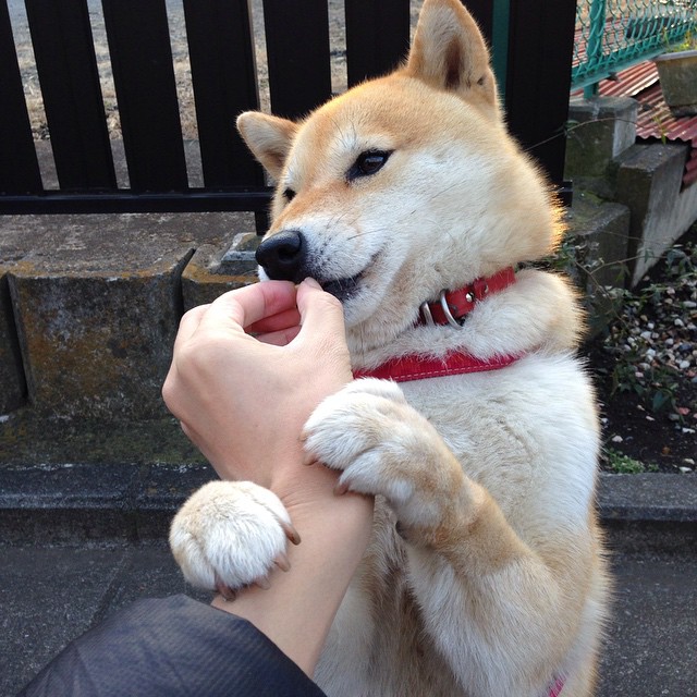 掘金加强视频分析课强化比赛细节理解