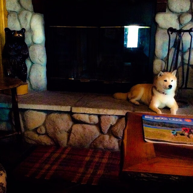 法甲青春风暴：新星崛起争锋天际，青春风暴的球队