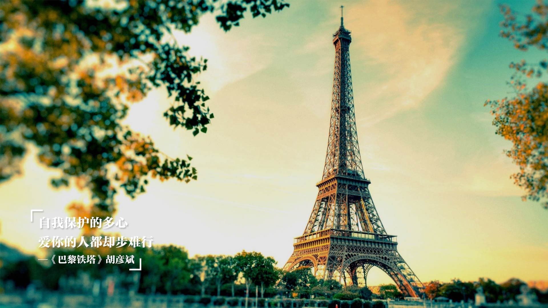 中国篮球主教练临场调整与副教练协作效率分析，中国篮球教练叫啥